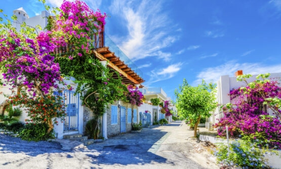 Bodrum-Knidos-Datca-Marmaris 8Days/7Nights img