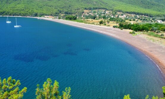 ekincik-bay-fethiye-555x333_1